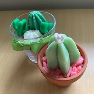 Meet your Posher, Elisa